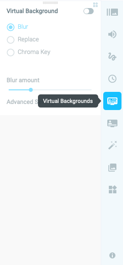 ManyCam options